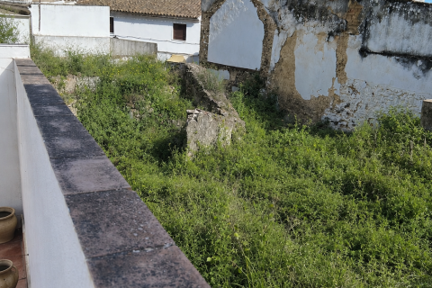 Parcela en Bornos, Cádiz, España 200 m2 No. 184646