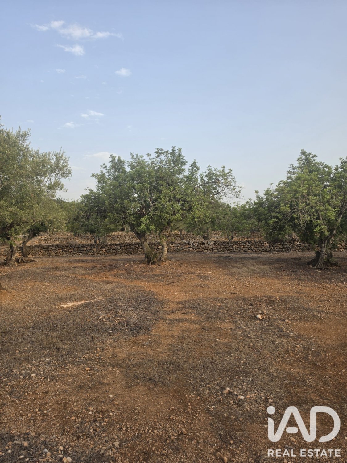 Terreno a El Perello, Tarragona, Spagna 5711 mq. N° 195023