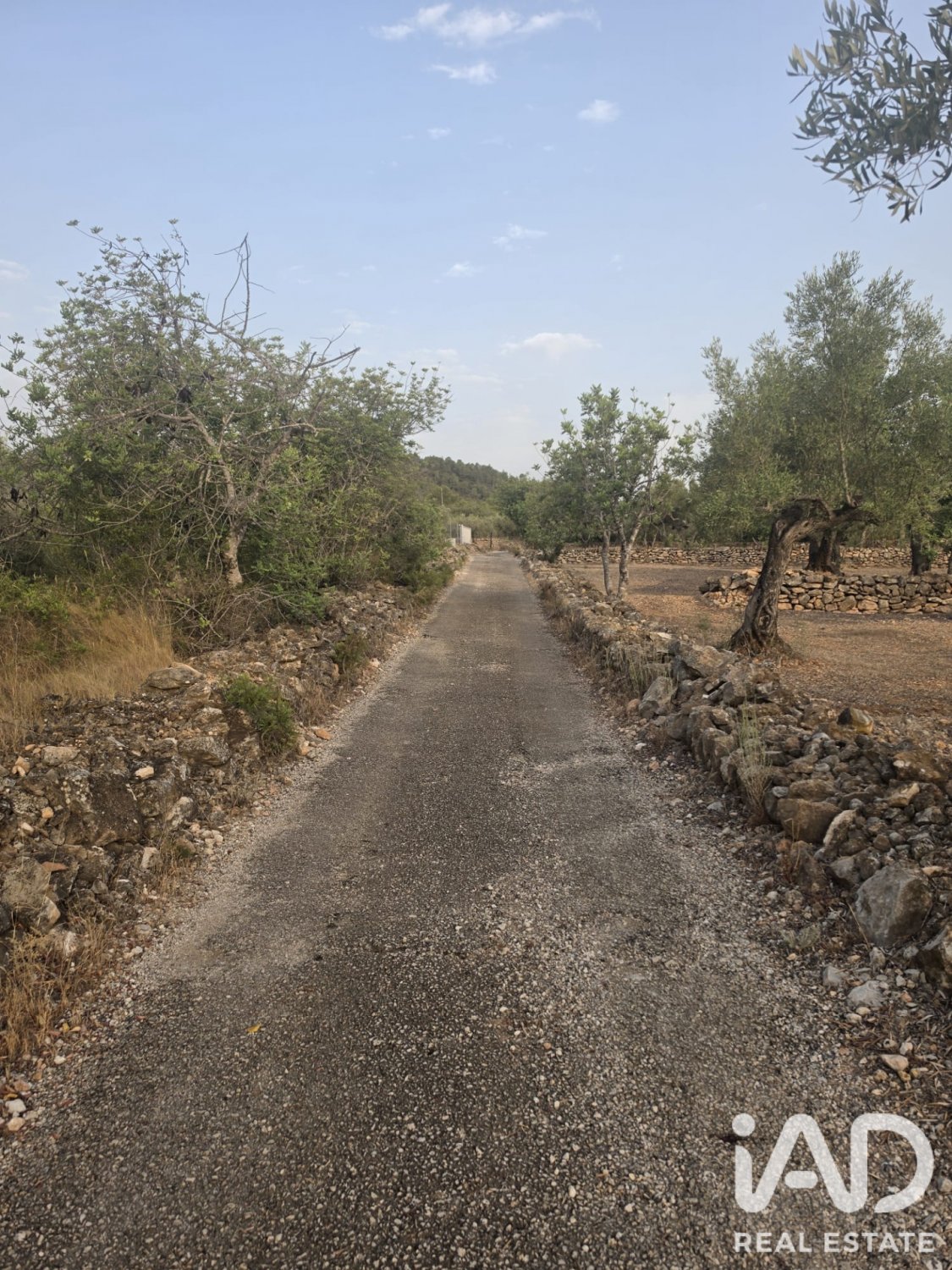 Terreno a El Perello, Tarragona, Spagna 5711 mq. N° 195023