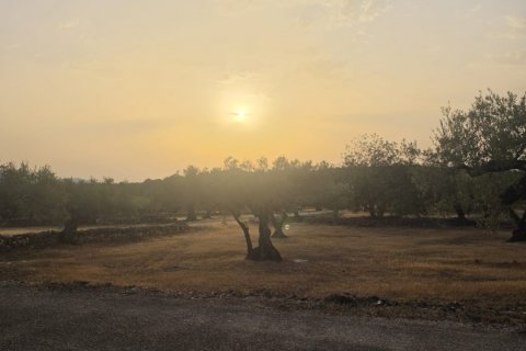 Zemes gabals El Perello, Tarragona, Spānijā 5711 m2 Nr. 195023