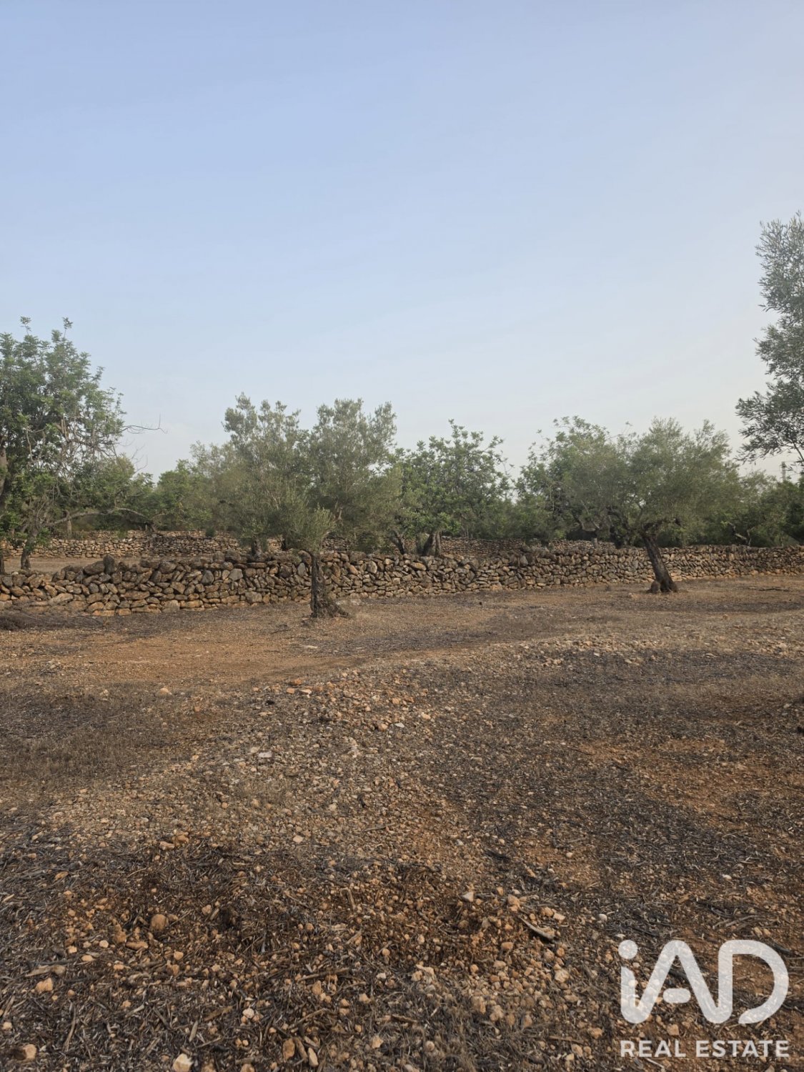 Terreno a El Perello, Tarragona, Spagna 5711 mq. N° 195023