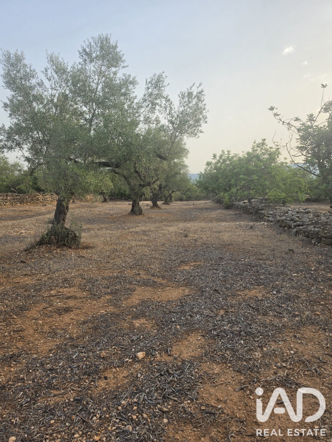 Terreno a El Perello, Tarragona, Spagna 5711 mq. N° 195023