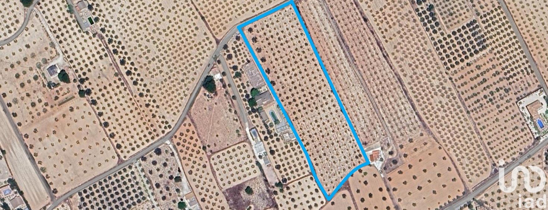 Land plot in Sax, Alicante, Spain 15889 sq.m. No. 185830