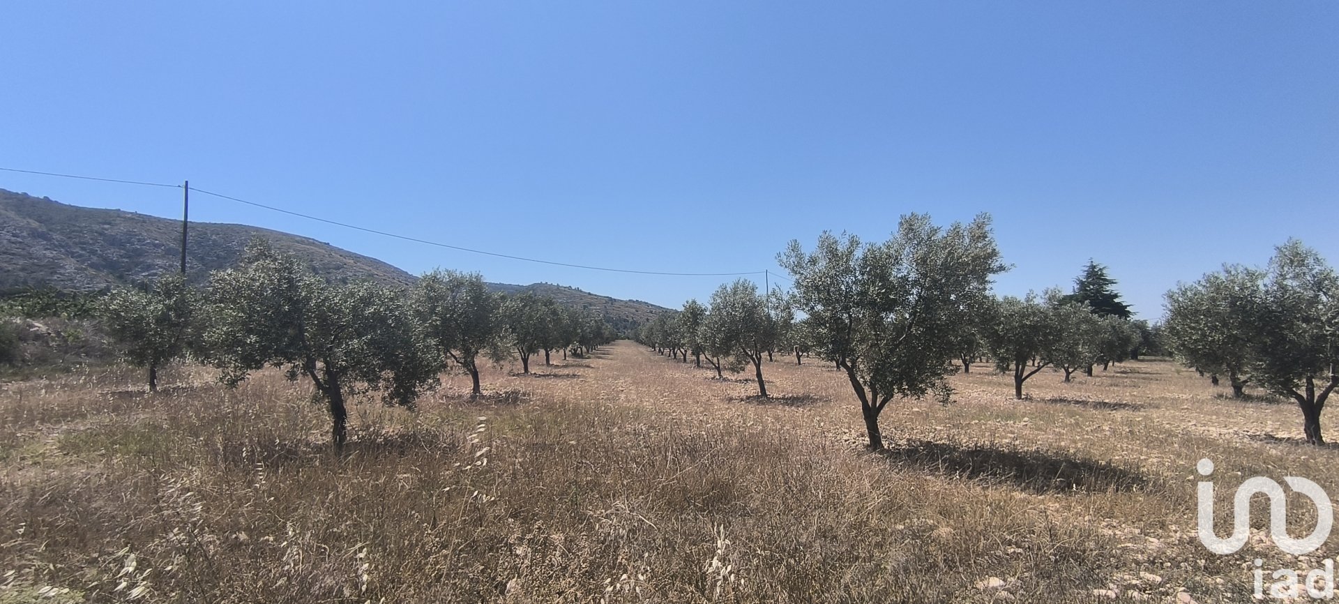 Land plot in Sax, Alicante, Spain 15889 sq.m. No. 185830
