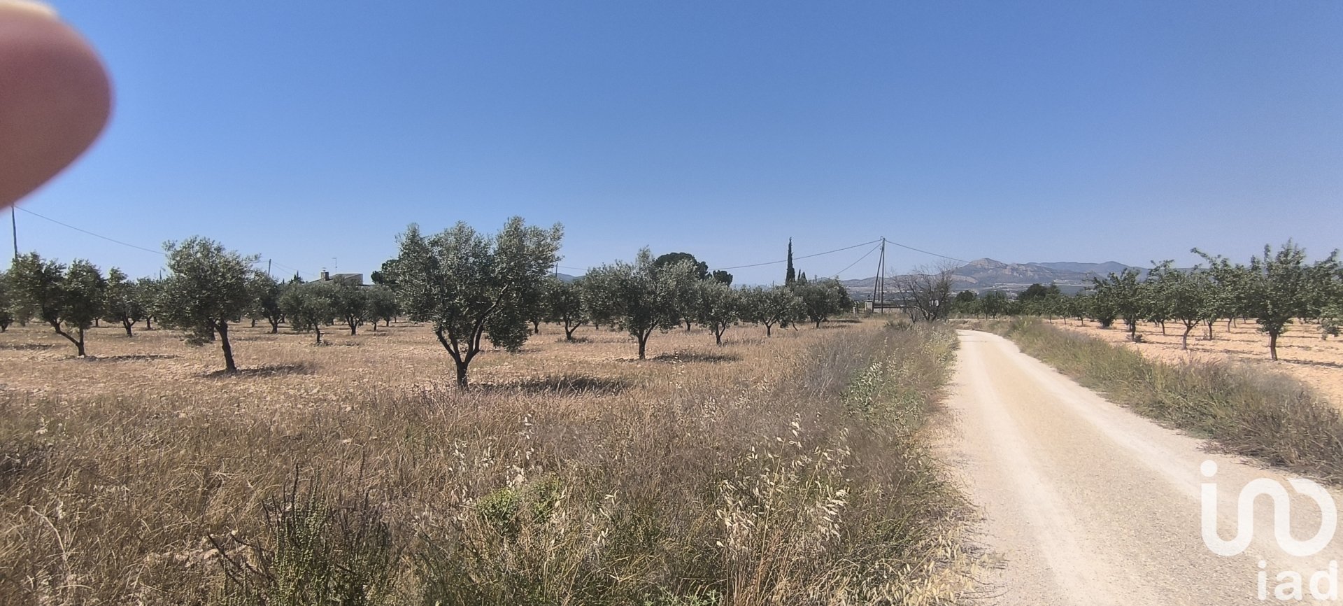 Land plot in Sax, Alicante, Spain 15889 sq.m. No. 185830