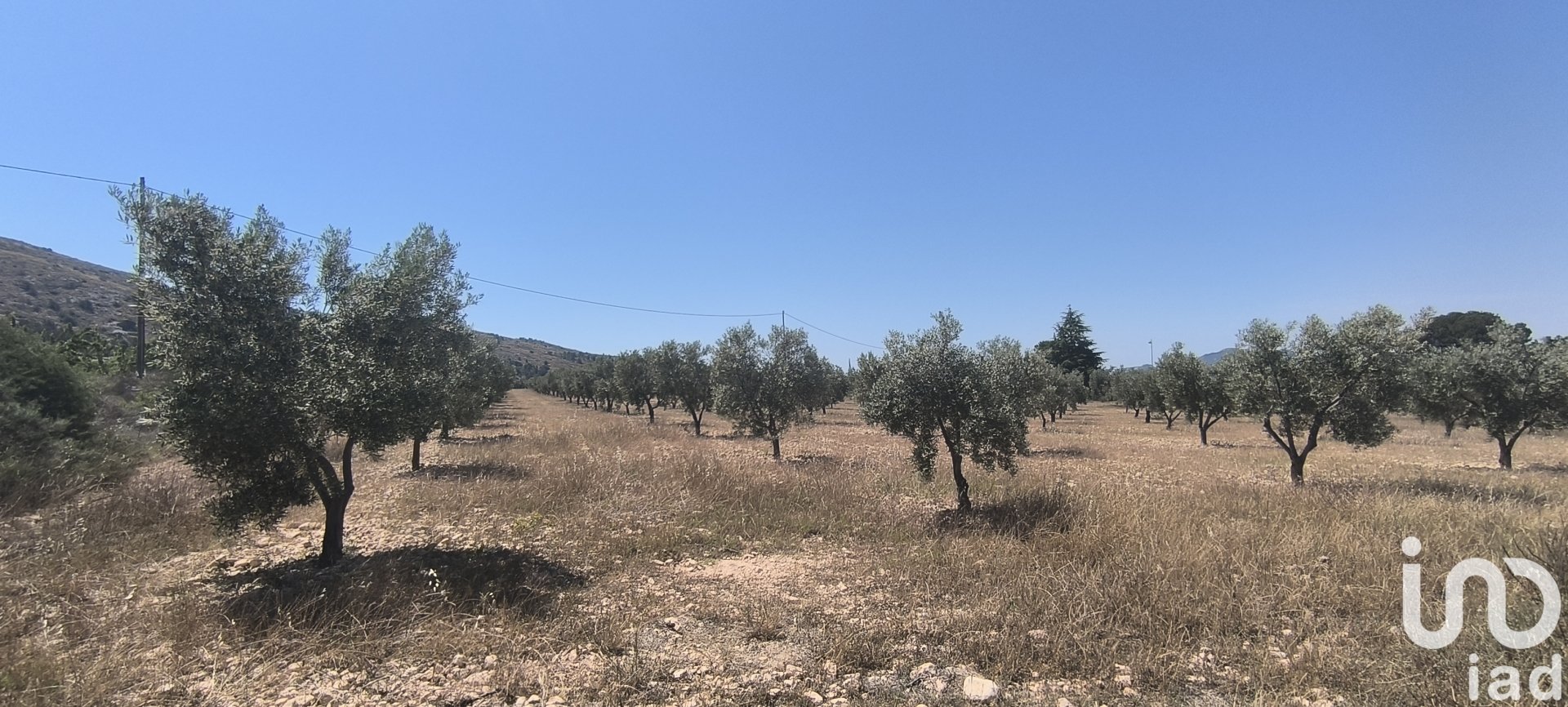 Land plot in Sax, Alicante, Spain 15889 sq.m. No. 185830