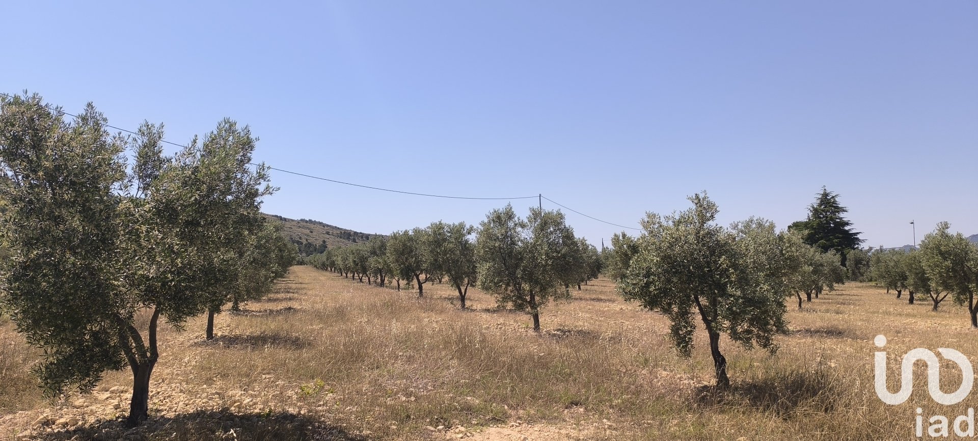 Land plot in Sax, Alicante, Spain 15889 sq.m. No. 185830