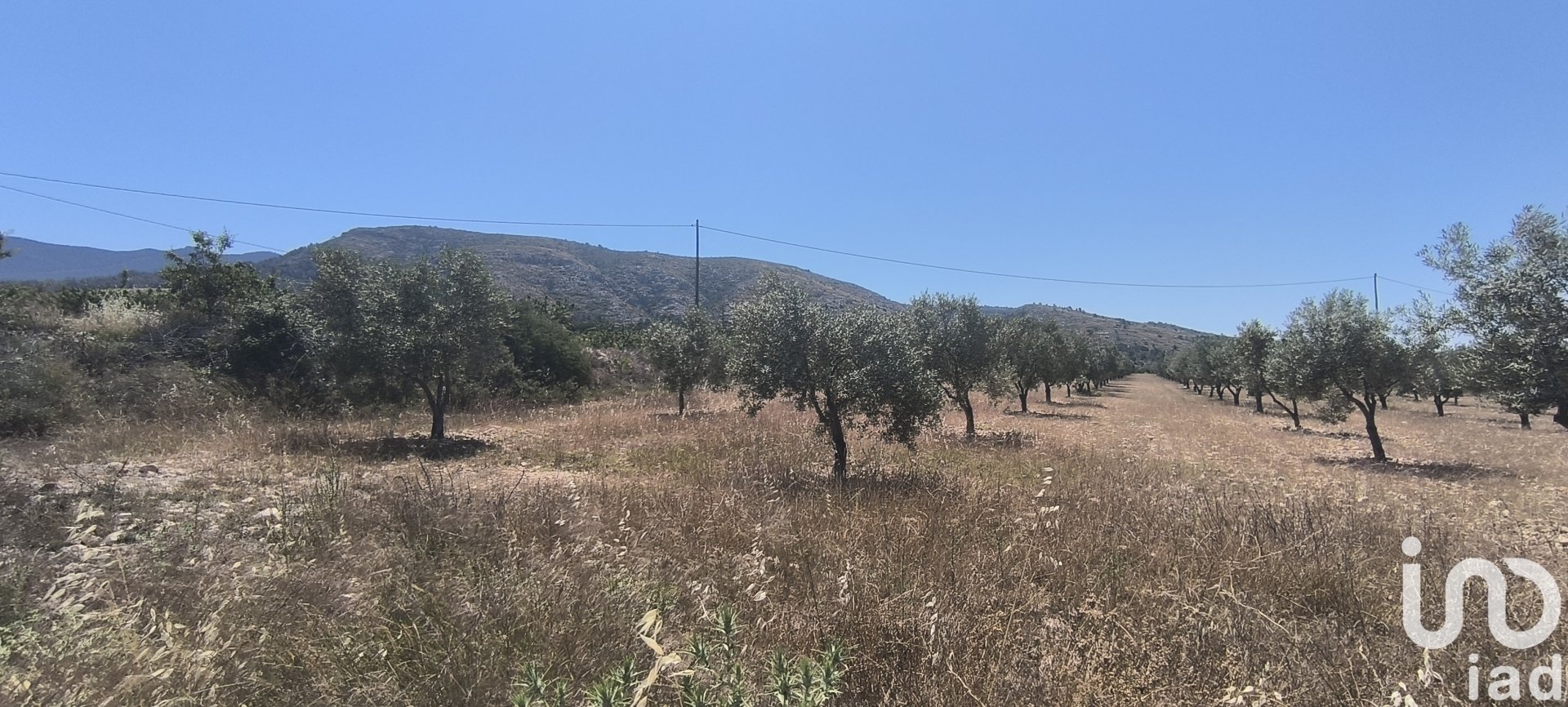 Land plot in Sax, Alicante, Spain 15889 sq.m. No. 185830