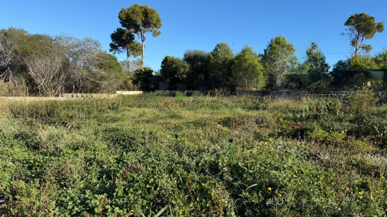 Tontti Javea, Alicante, Espanja 177 m2 No. 180175