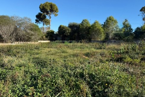Zemes gabals Javea, Alicante, Spānijā 177 m2 Nr. 180175