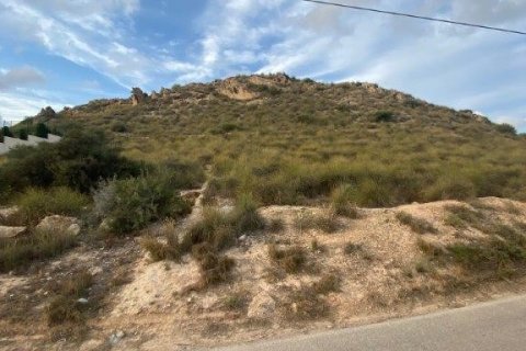 Land plot in San Vicente del Raspeig, Alicante, Spain 1300 sq.m. No. 185403