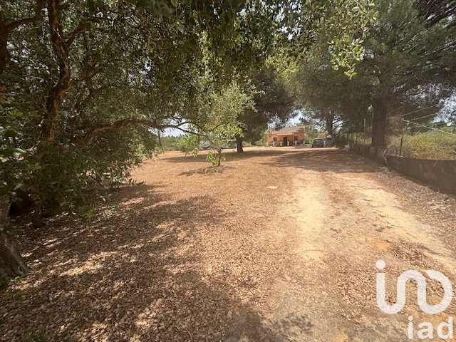 Parcela en Villanueva de los Castillejos, Huelva, España 13685 m2 No. 185745