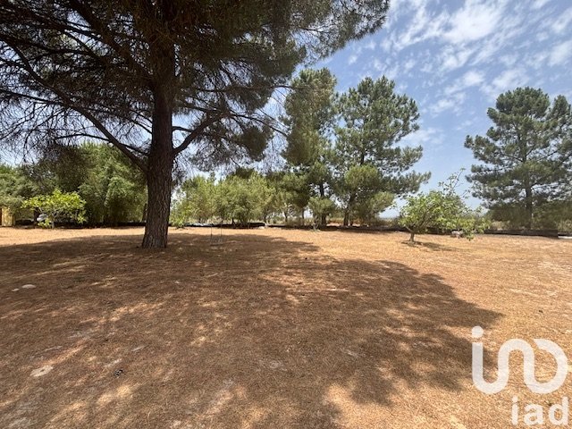 Parcela en Villanueva de los Castillejos, Huelva, España 13685 m2 No. 185745