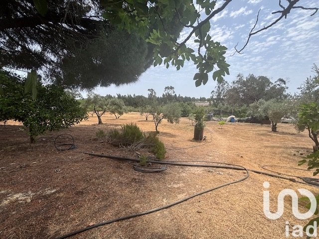 Parcela en Villanueva de los Castillejos, Huelva, España 13685 m2 No. 185745