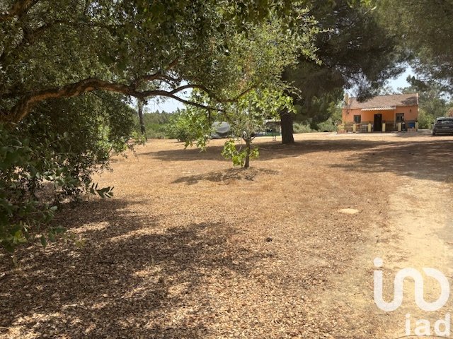 Parcela en Villanueva de los Castillejos, Huelva, España 13685 m2 No. 185745