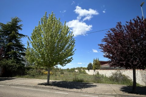 Land plot à Valverde de la Virgen, Leon, Espagne 2265 m2 No. 185743