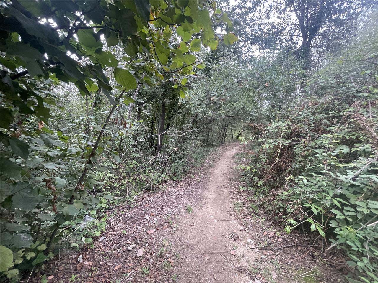 Land plot in Caldes de Montbui, Barcelona, Spain No. 167228