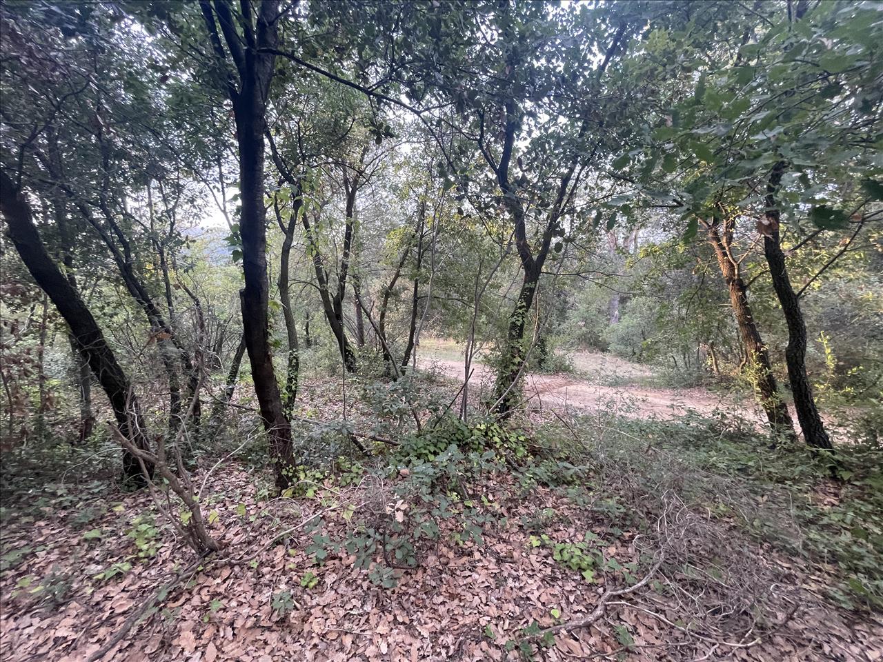 Land plot in Caldes de Montbui, Barcelona, Spain No. 167228