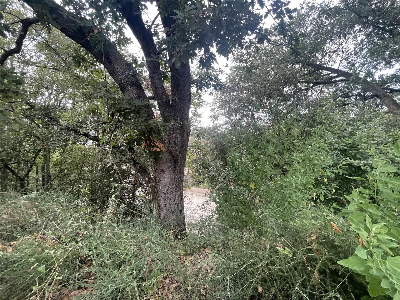 Land plot in Caldes de Montbui, Barcelona, Spain No. 167228