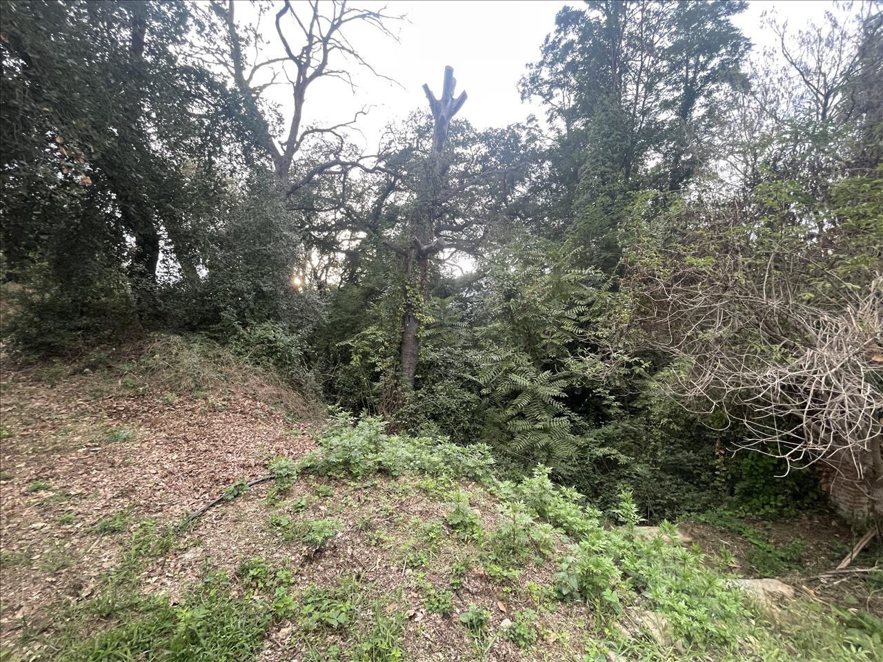Land plot in Caldes de Montbui, Barcelona, Spain No. 167228