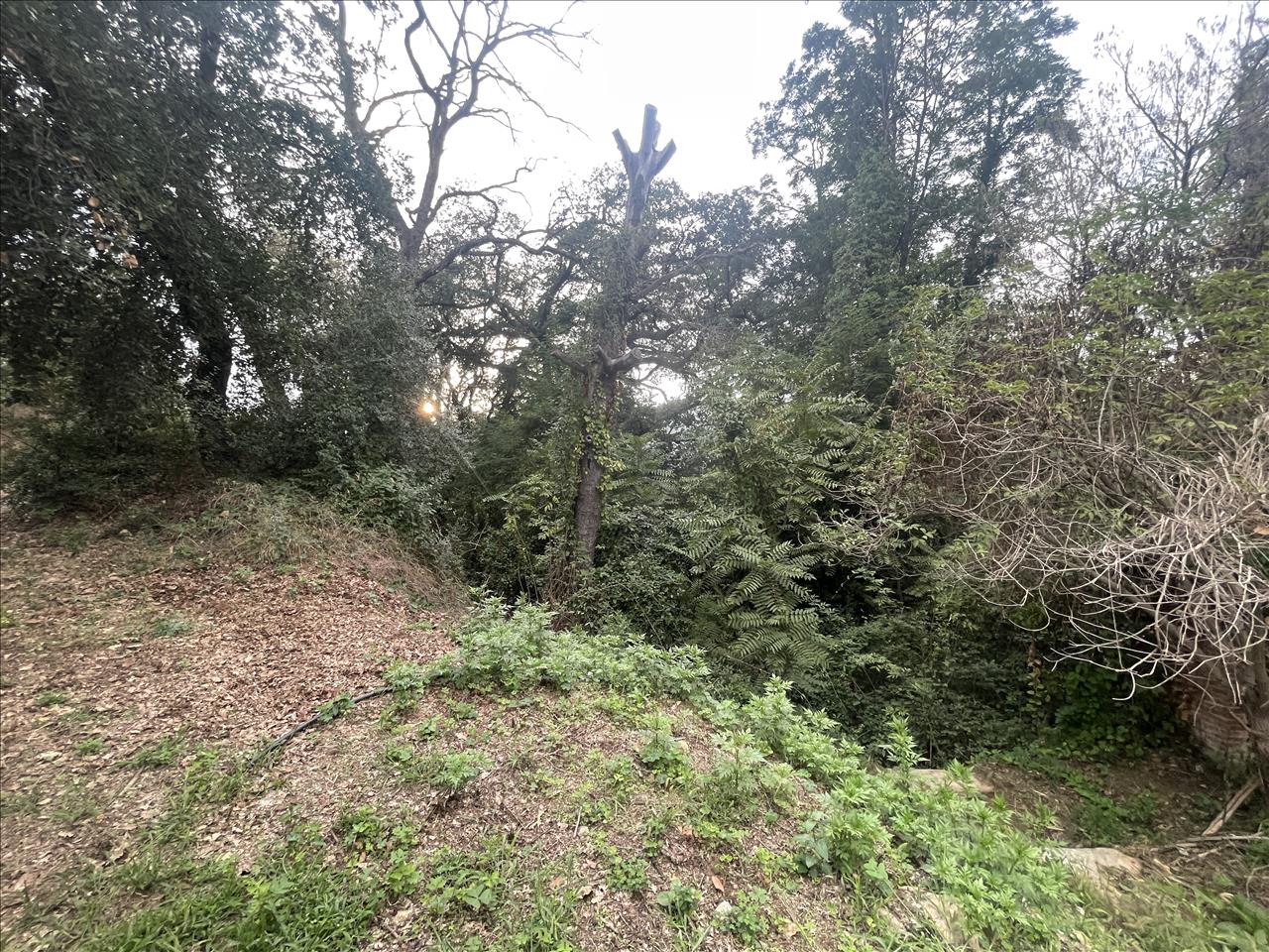 Land plot in Caldes de Montbui, Barcelona, Spain No. 167228