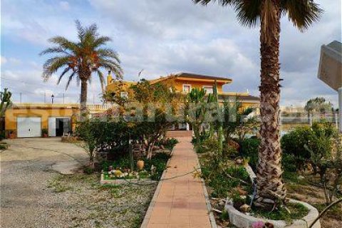 Villa in La Alfoquia, Almeria, Spain 7 bedrooms, 500 sq.m. No. 78048