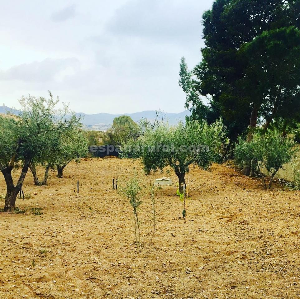 Villa i La Alfoquia, Almeria, Spanien 7 sovrum, 500 kvm. Nr. 78048