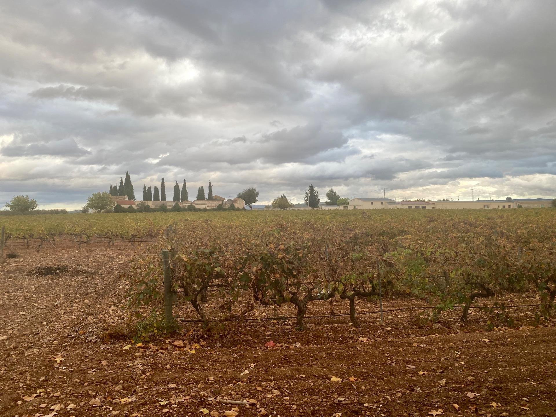 Gewerbeimmobilien in Albacete, Spanien 1 Schlafzimmer, 3000 m2 Nr. 189374