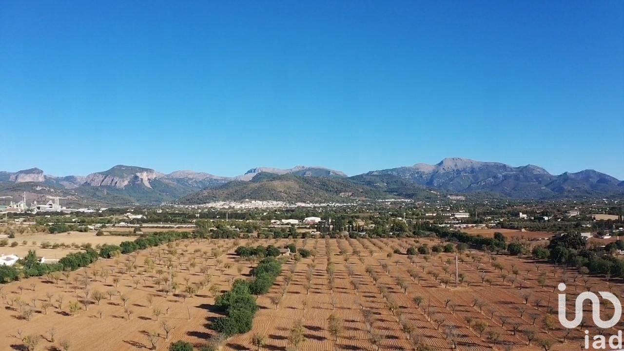 Tontti Inca, Mallorca, Espanja 124905 m2 No. 154021
