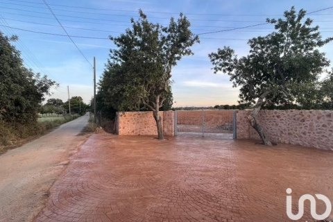 Land plot in Inca, Mallorca, Spain 124905 sq.m. No. 154021