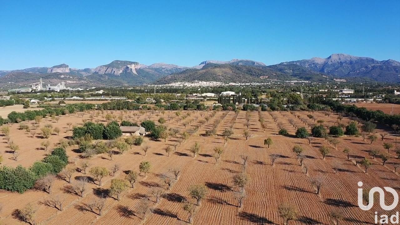 Tontti Inca, Mallorca, Espanja 124905 m2 No. 154021