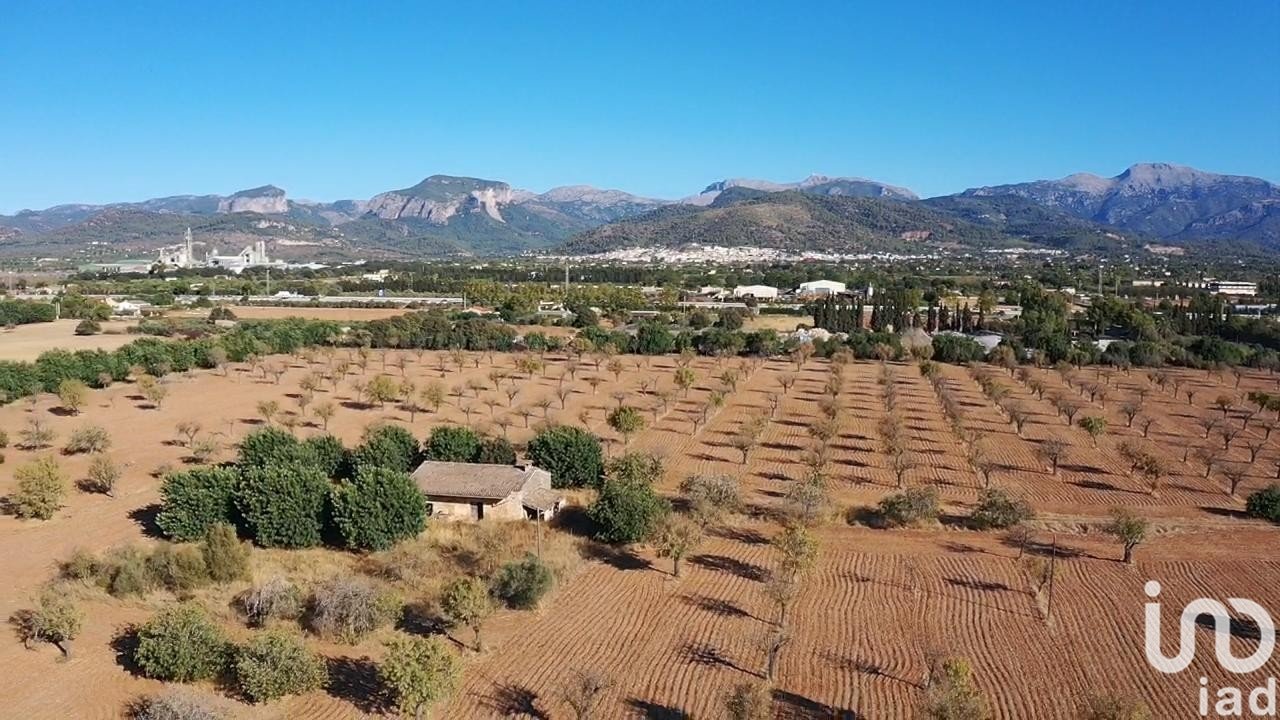 Tontti Inca, Mallorca, Espanja 124905 m2 No. 154021