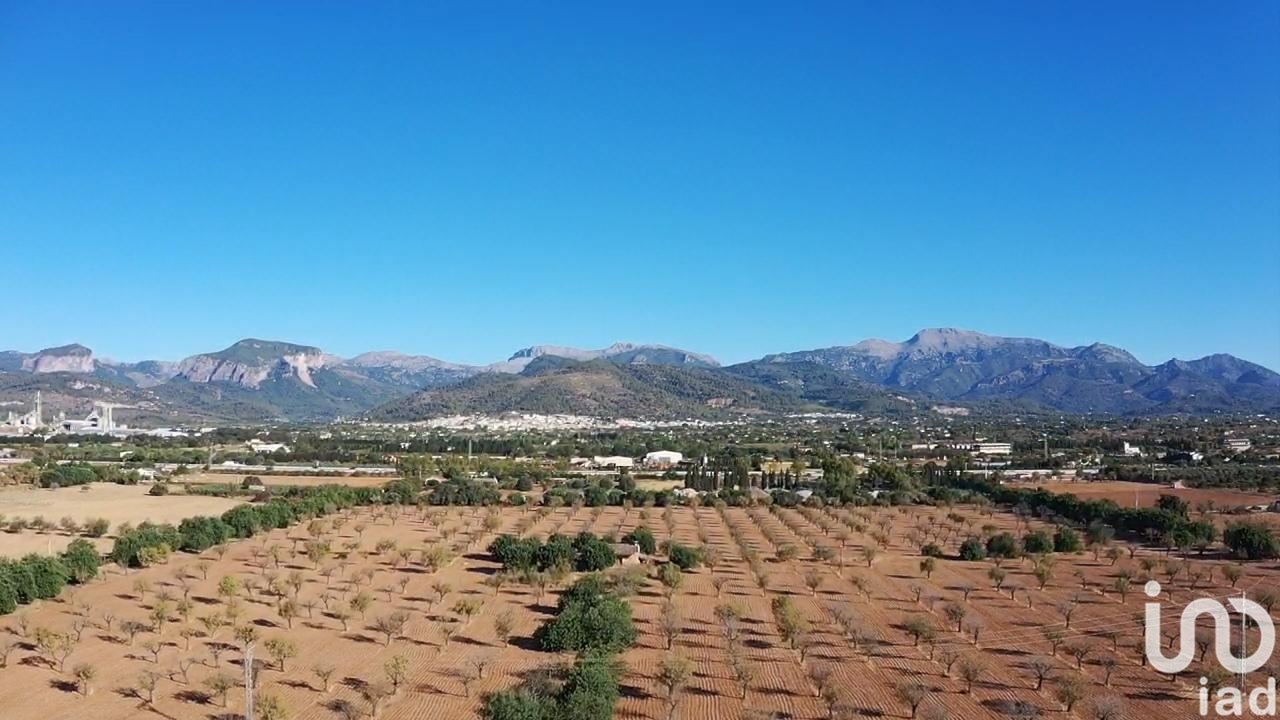 Tontti Inca, Mallorca, Espanja 124905 m2 No. 154021