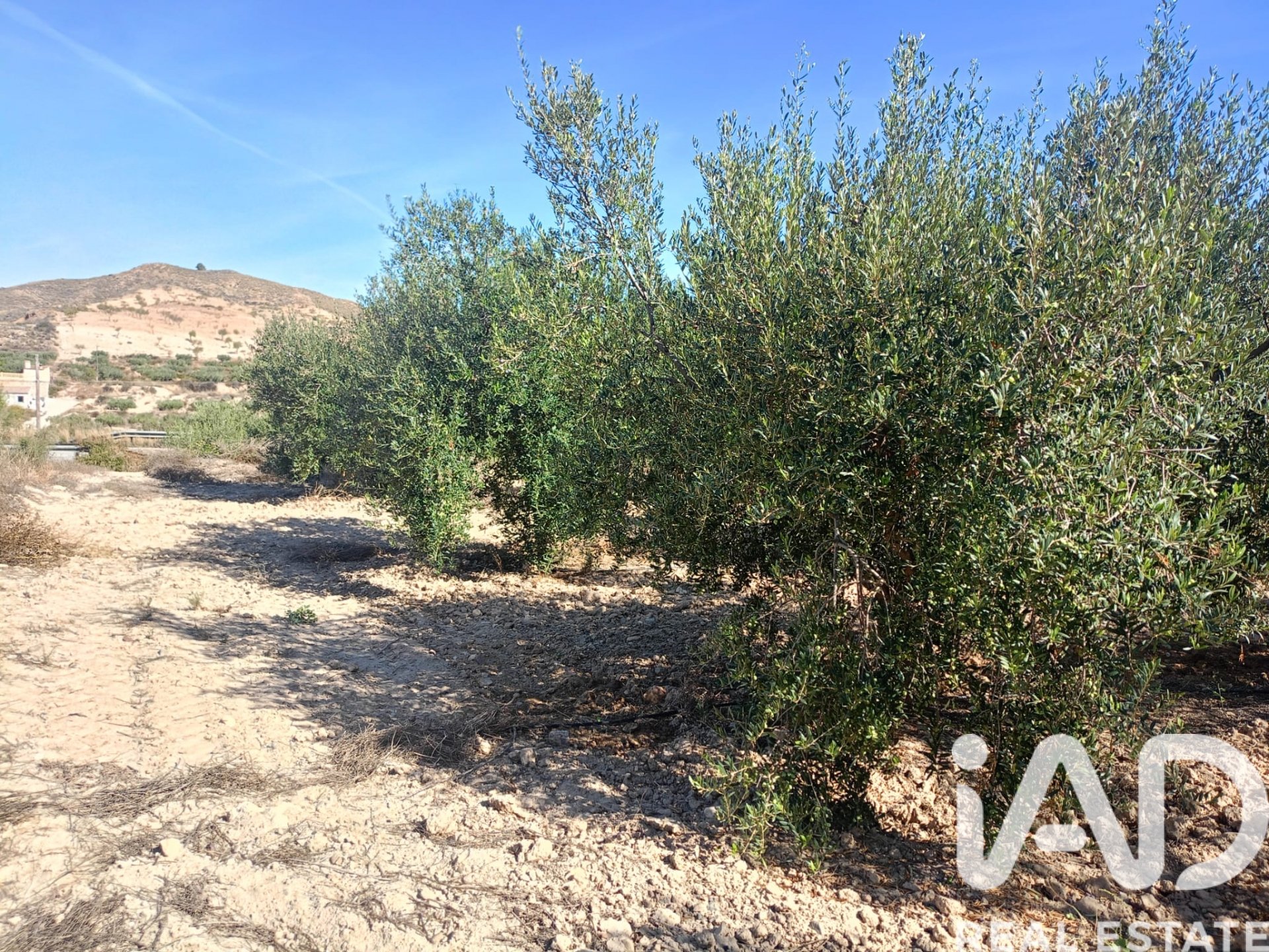 Land plot in Lorca, Murcia, Spain 7165 sq.m. No. 185004