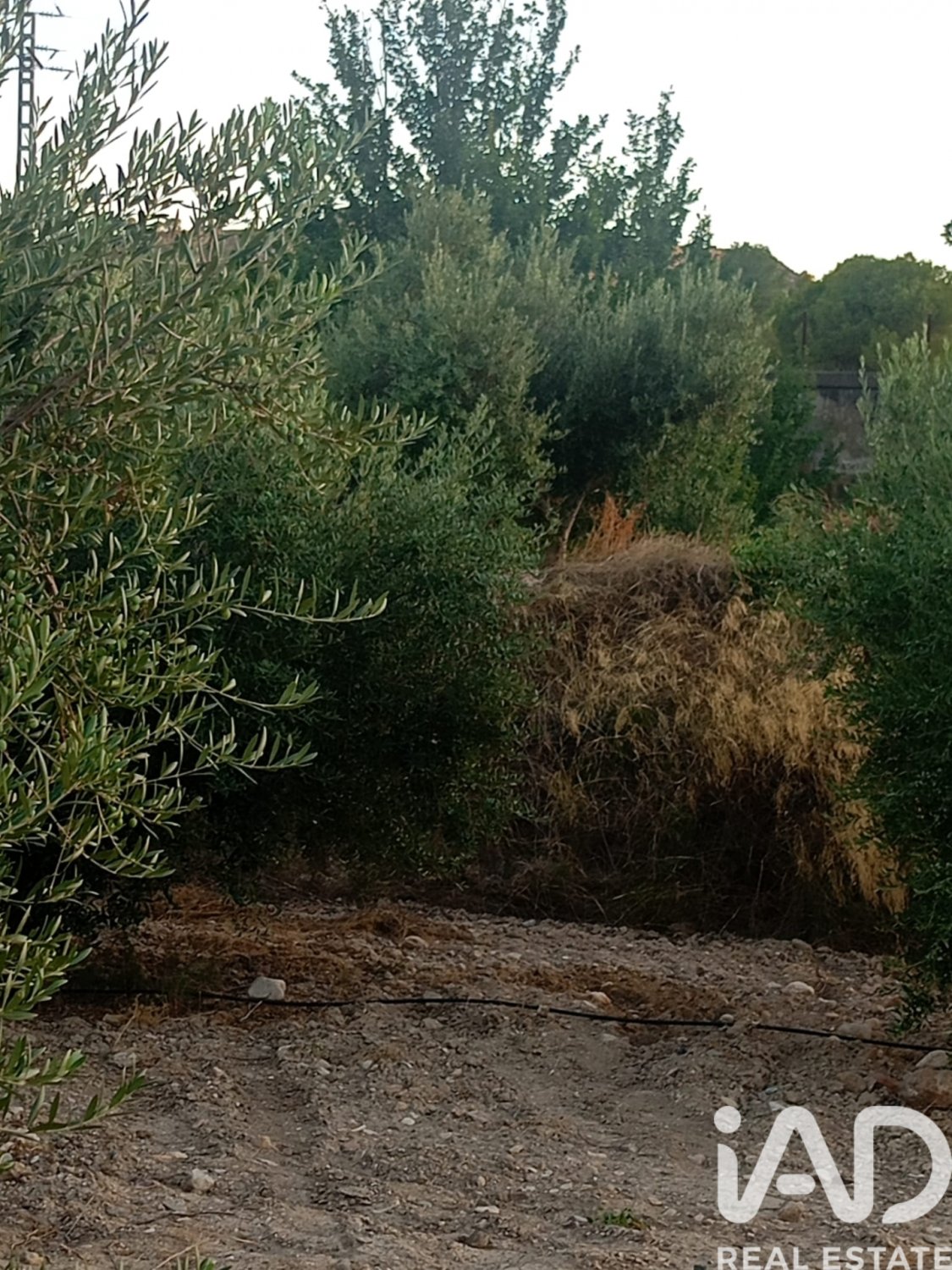 Land plot in Lorca, Murcia, Spain 7165 sq.m. No. 185004