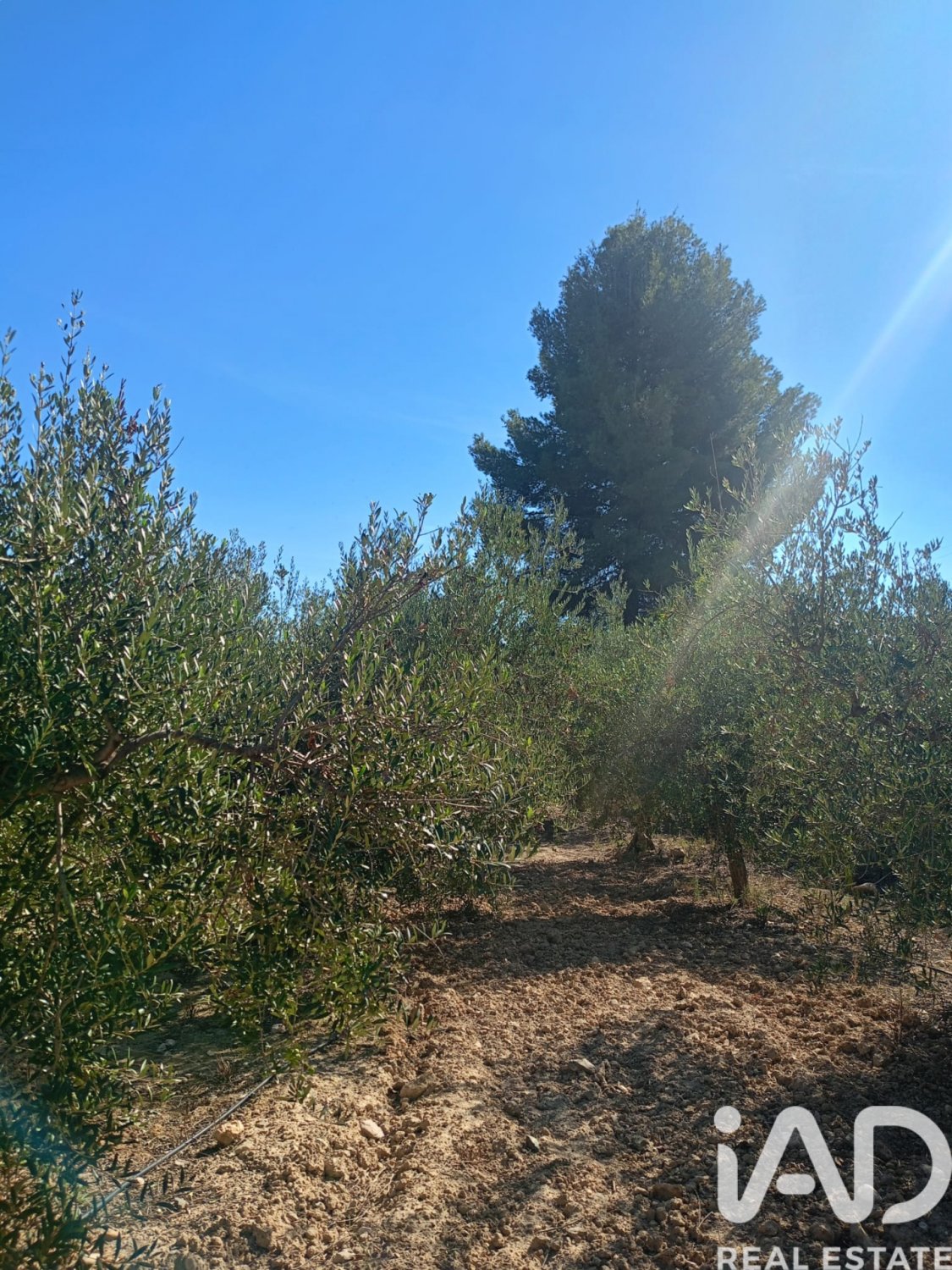 Land plot in Lorca, Murcia, Spain 7165 sq.m. No. 185004