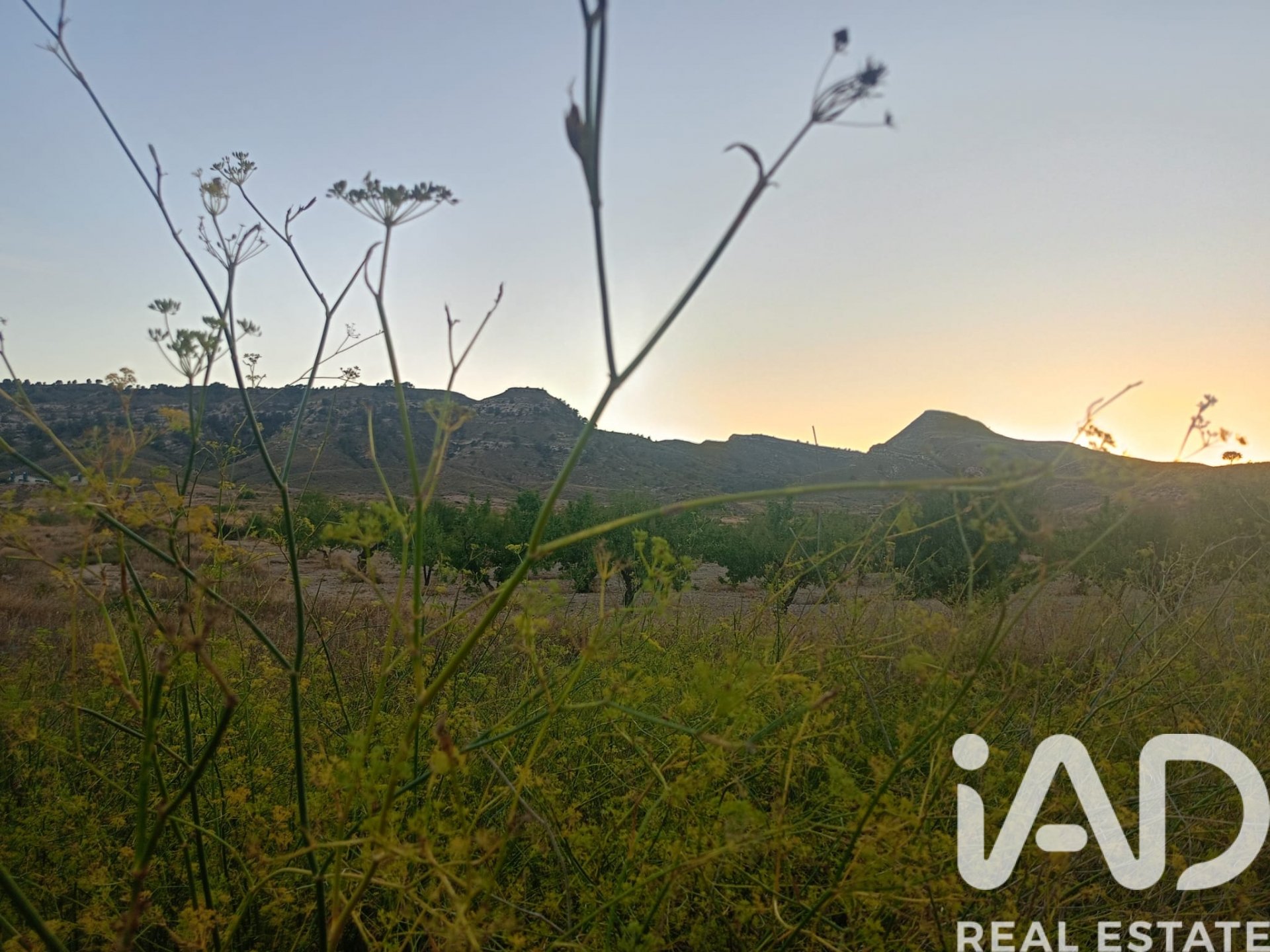 Land plot in Lorca, Murcia, Spain 7165 sq.m. No. 185004