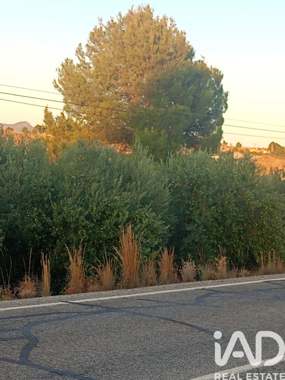 Land plot in Lorca, Murcia, Spain 7165 sq.m. No. 185004