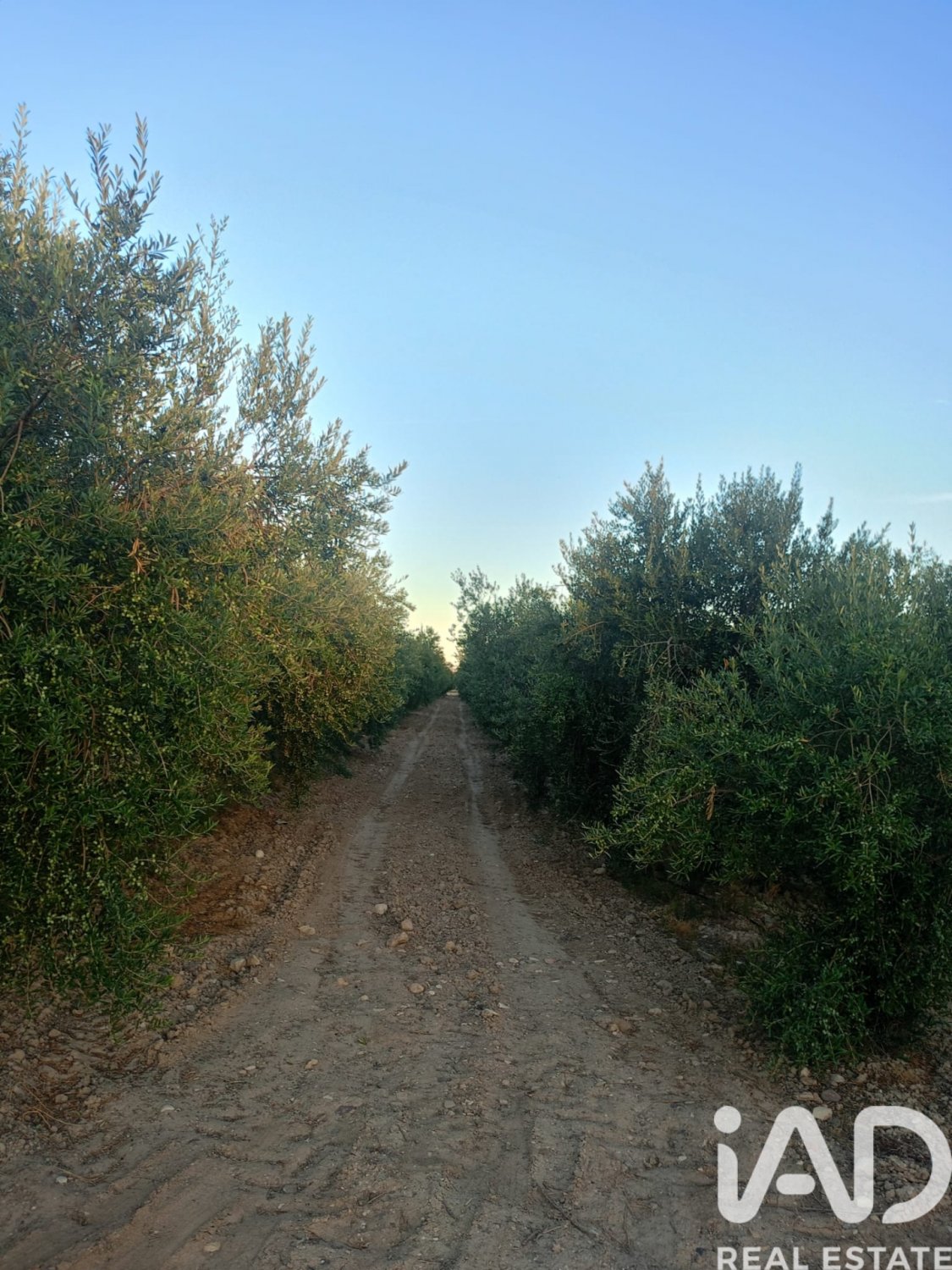 Land plot in Lorca, Murcia, Spain 7165 sq.m. No. 185004