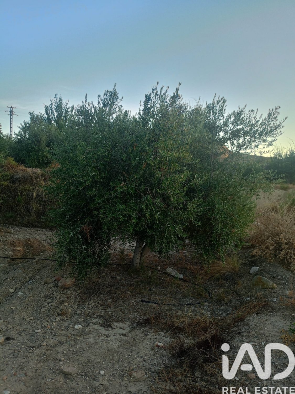 Land plot in Lorca, Murcia, Spain 7165 sq.m. No. 185004