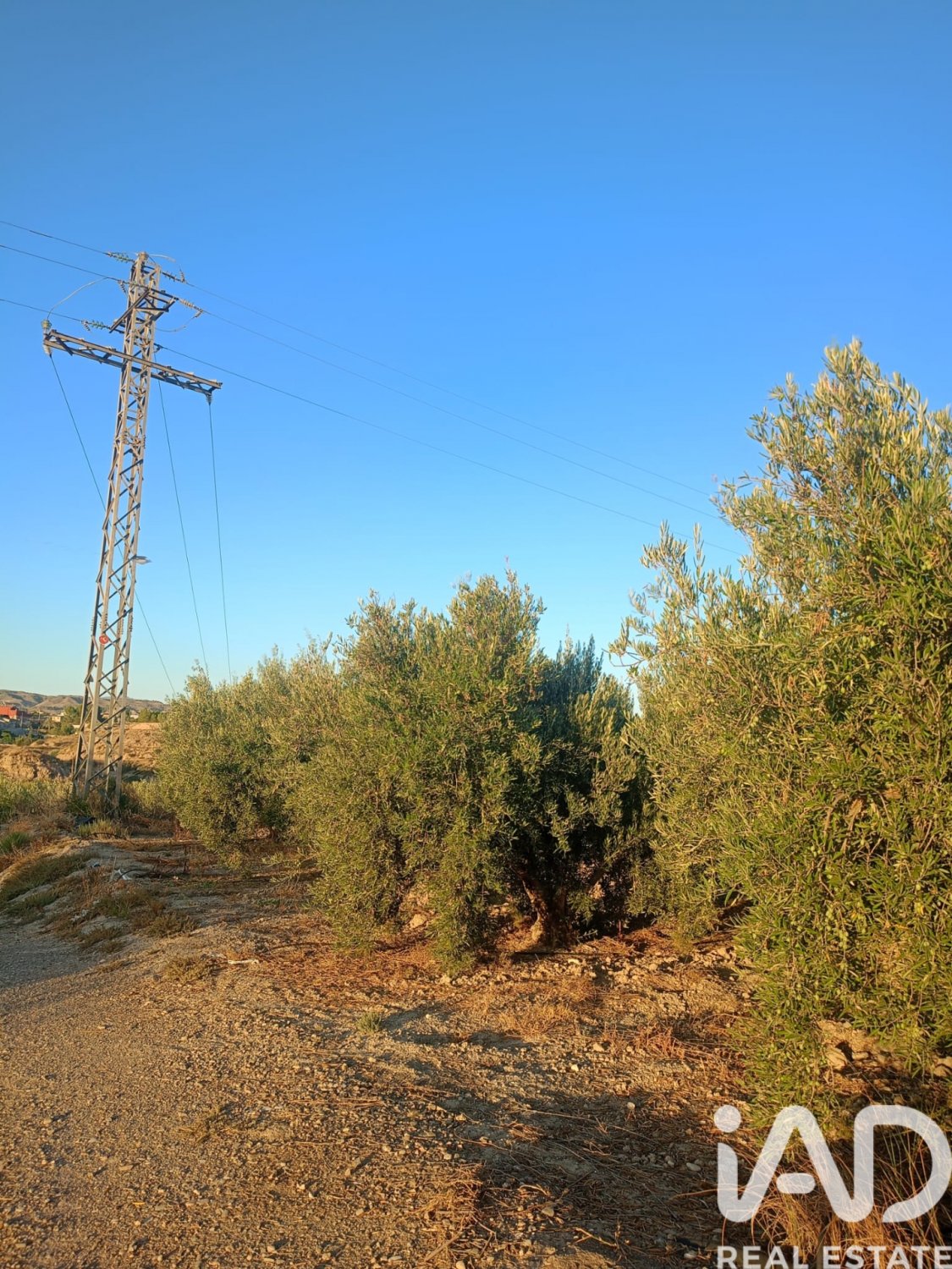 Land plot in Lorca, Murcia, Spain 7165 sq.m. No. 185004