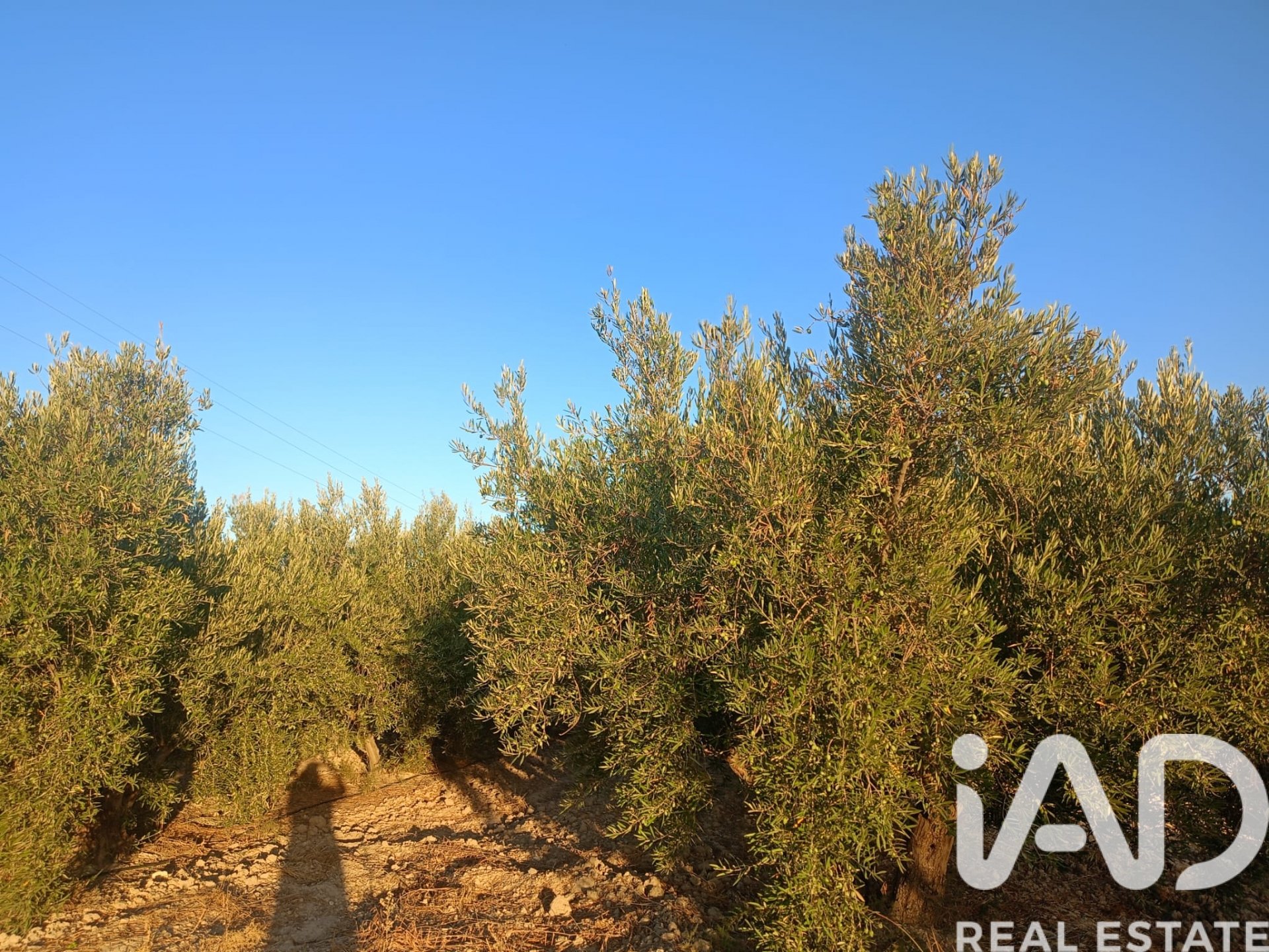 Land plot in Lorca, Murcia, Spain 7165 sq.m. No. 185004
