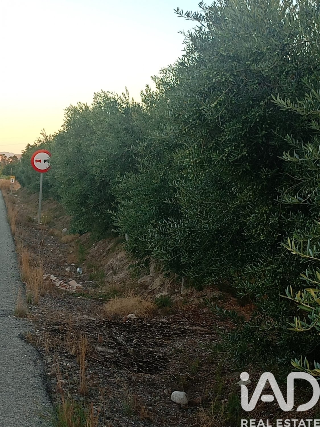 Land plot in Lorca, Murcia, Spain 7165 sq.m. No. 185004