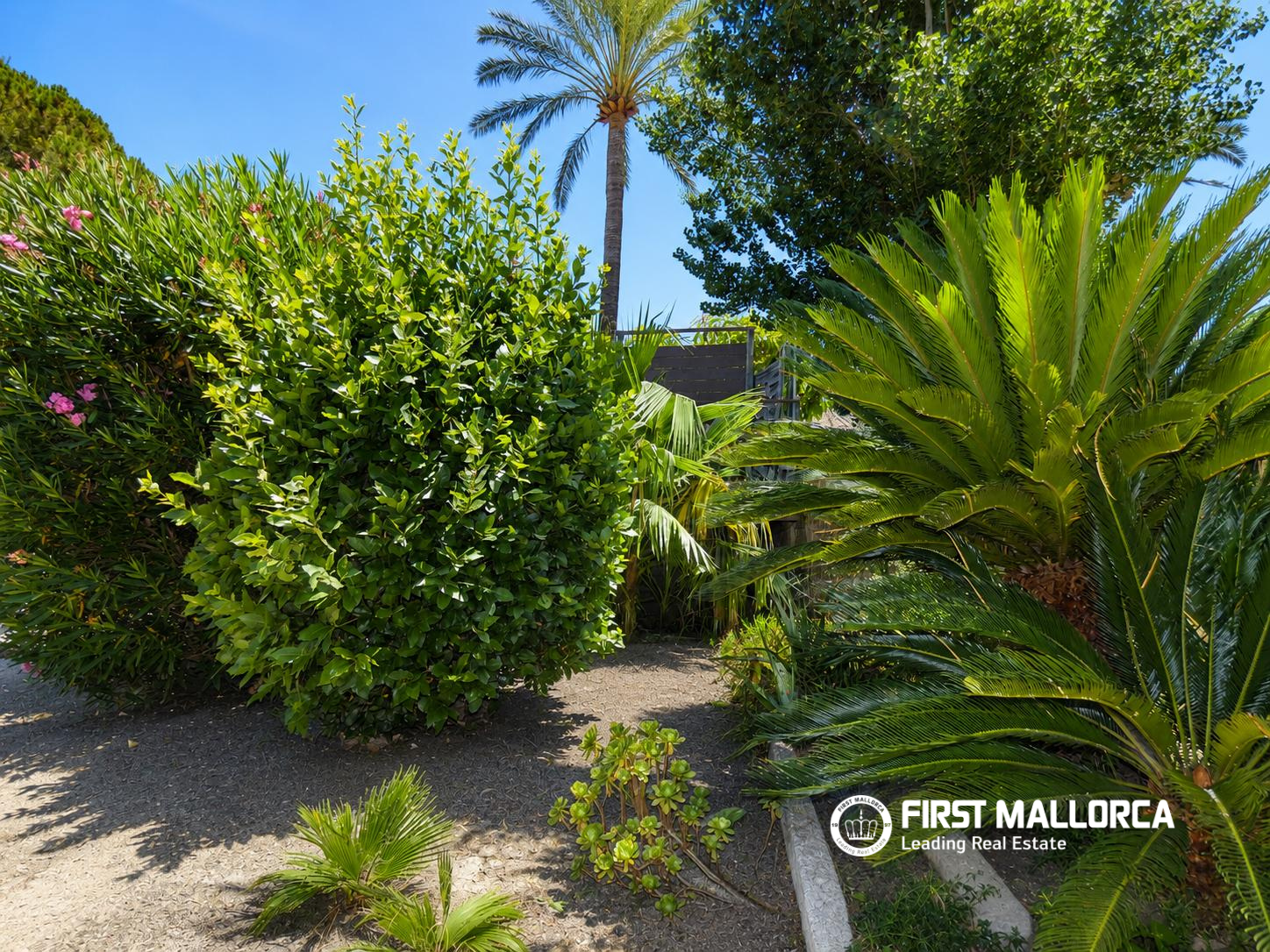 Finca Pollenca, Mallorca, Espanja 3 makuuhuonetta, 178 m2 No. 178287