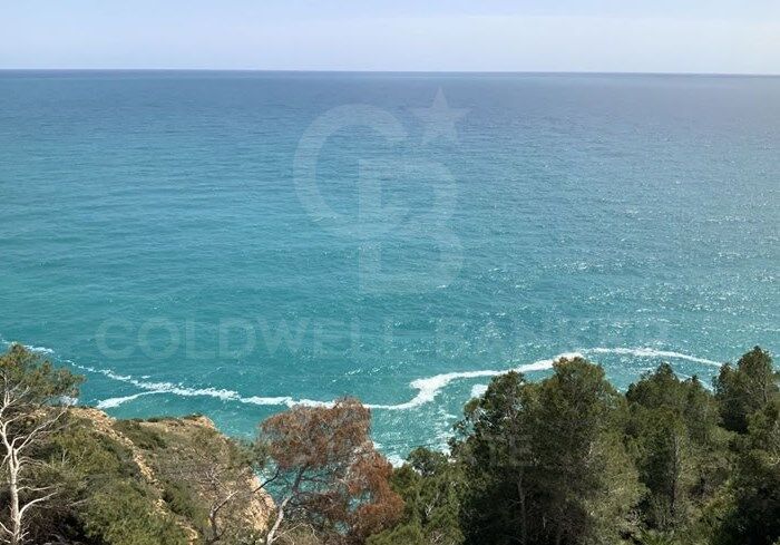 Villa i Javea, Alicante, Spanien 3 sovrum, 733 kvm. Nr. 160364