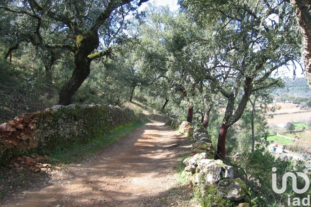 Land plot in Galaroza, Huelva, Spain 400 sq.m. No. 153908