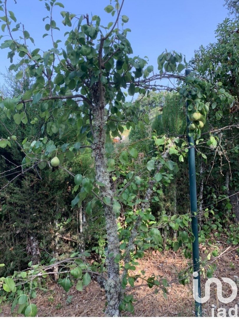 Land plot in Galaroza, Huelva, Spain 400 sq.m. No. 153908