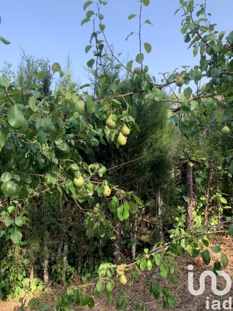 Land plot in Galaroza, Huelva, Spain 400 sq.m. No. 153908