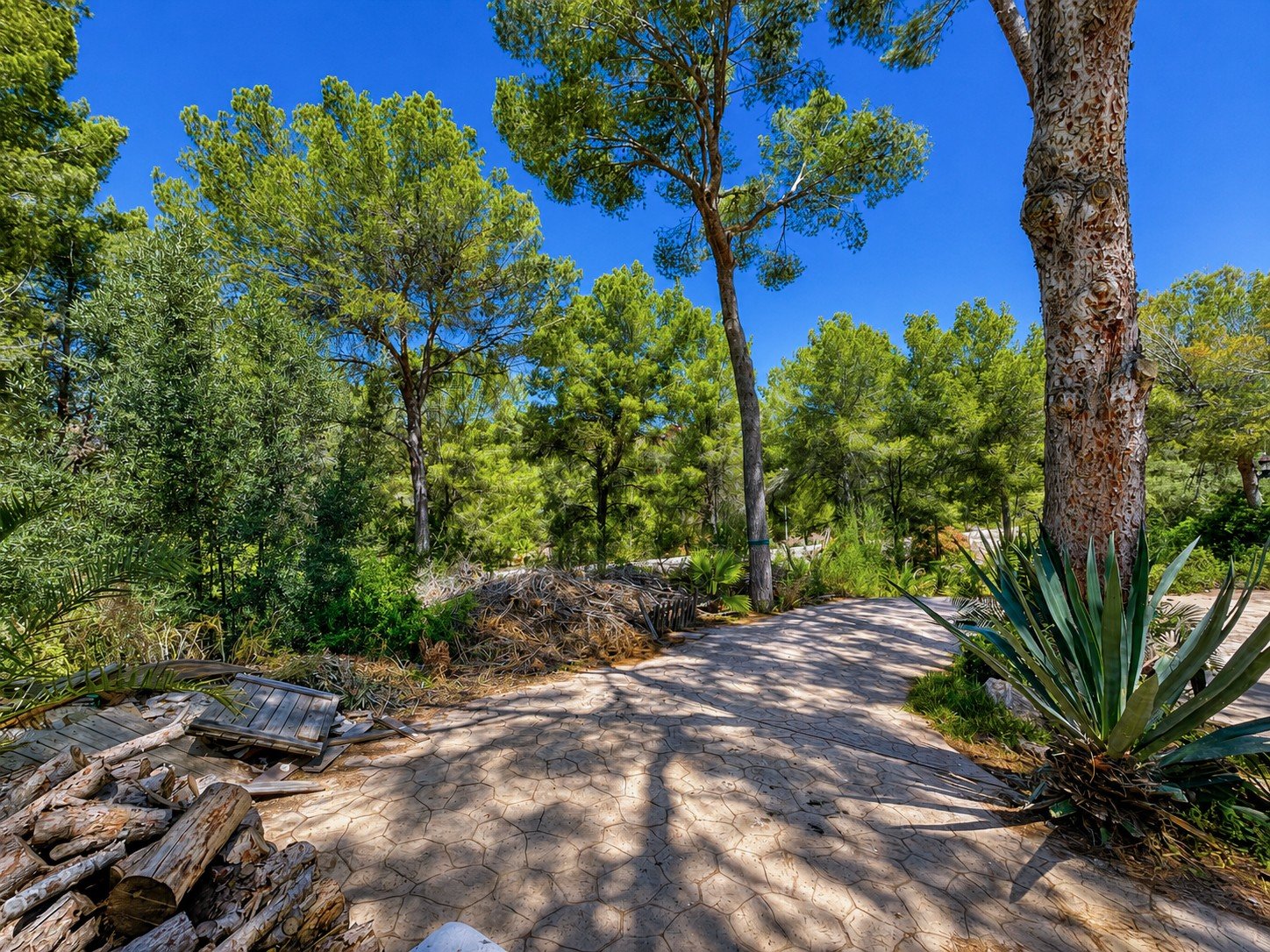 Tomt i Santa Ponsa, Mallorca, Spanien 400 kvm. Nr. 180976