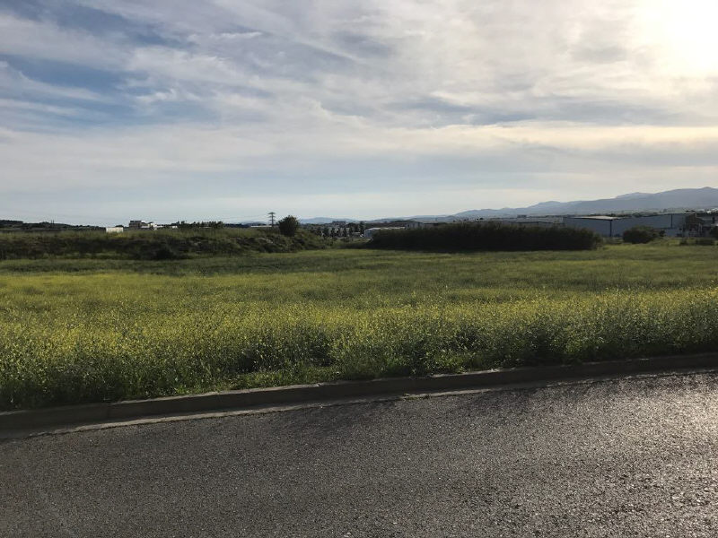 Land plot in Vilafranca Del Penedes, Barcelona, Spain No. 167164